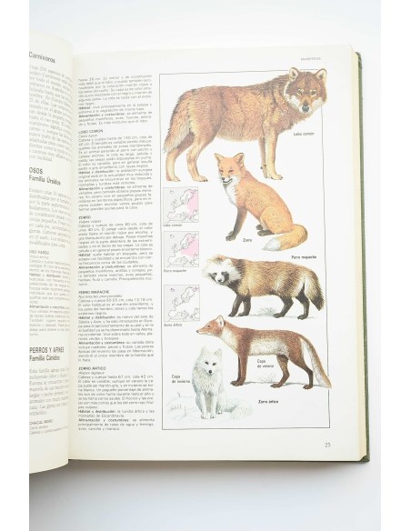 Fascinante naturaleza : el gran libro de los animales y plantas de Europa