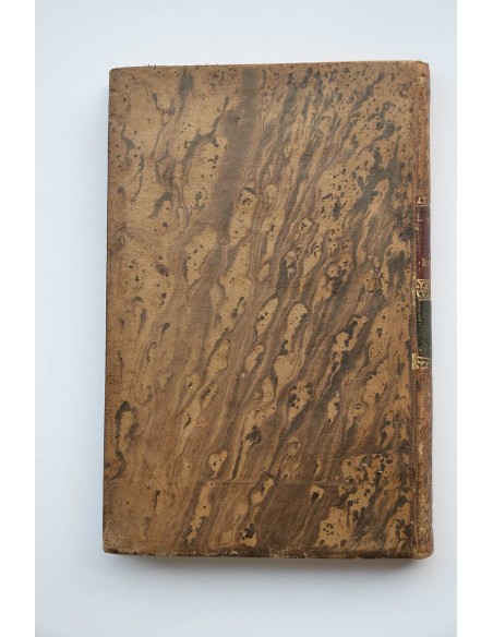 Resumen práctico y razonado del diagnóstico que comprende la inspección, medición (...) . Tomo II