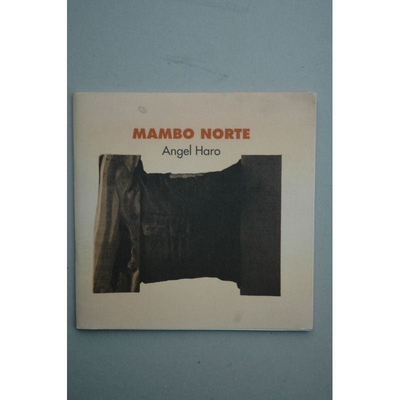 Mambo Norte : [catálogo de exposiciones] : Cartagena, Muralla Bizantina, 22 noviembre-13 diciembre 1991