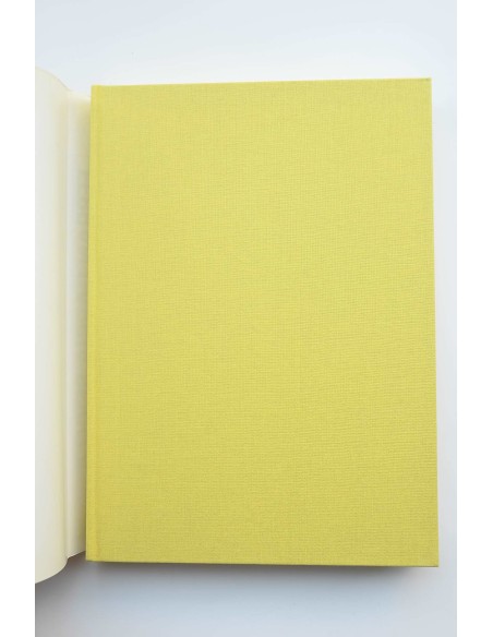 Ferran García Sevilla, Pintures 1988-2001