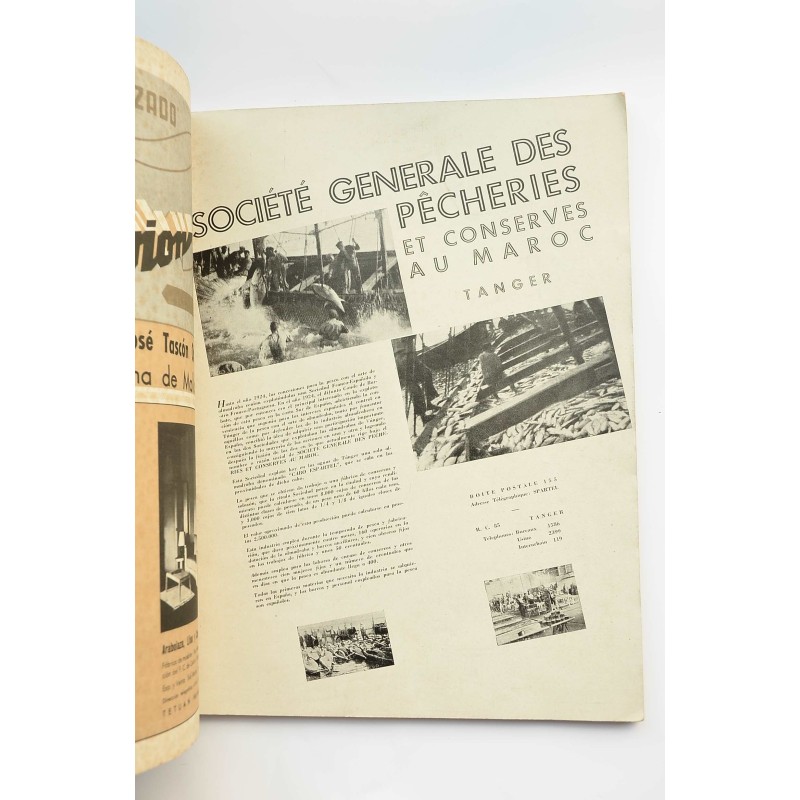 Vértice : revista nacional de Falange Española...