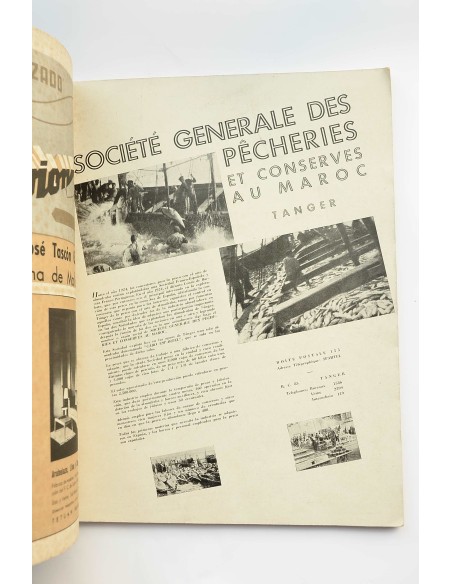 Vértice : revista nacional de Falange Española Tradicionalista y de Las J.O.N.S. Nº XXXV, agosto, 1940