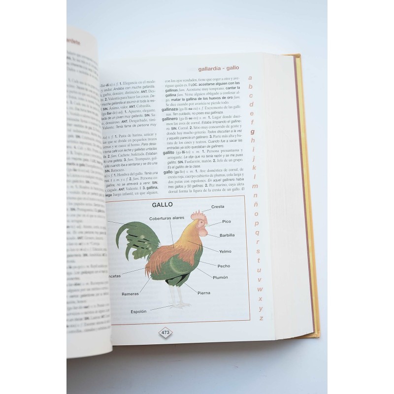 Diccionario escolar de la Lengua Española Everest