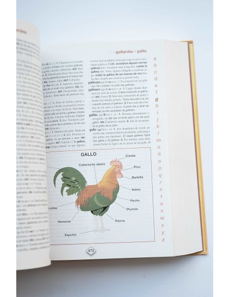 Diccionario escolar de la Lengua Española Everest