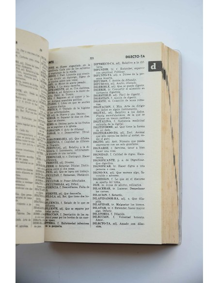 Everest cumbre. Diccionario de la lengua española