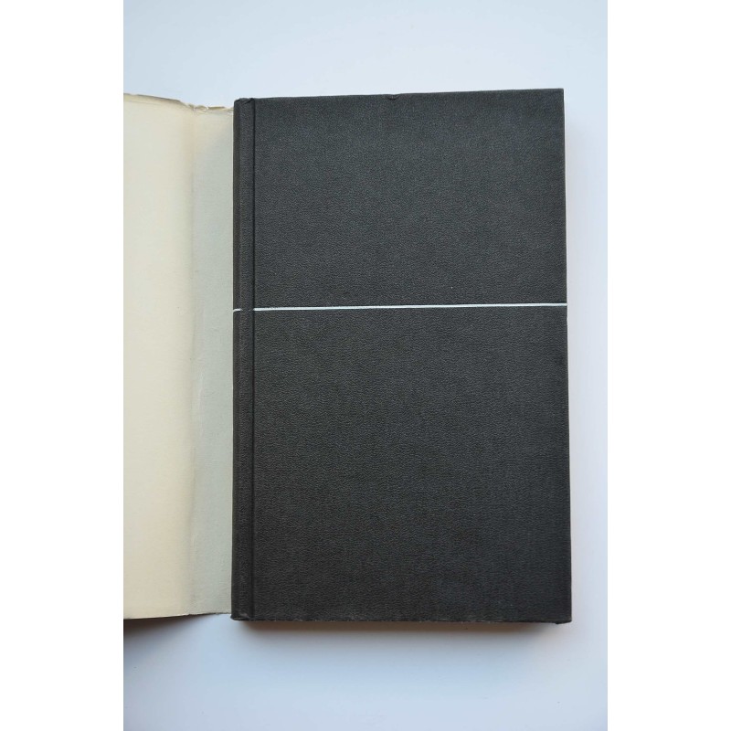 El libro de las visiones