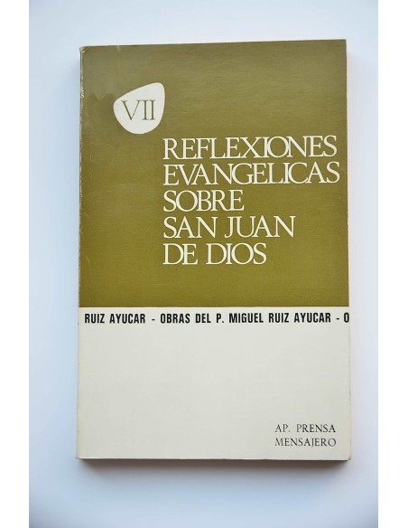 Reflexiones evangélicas sobre San Juan de Dios