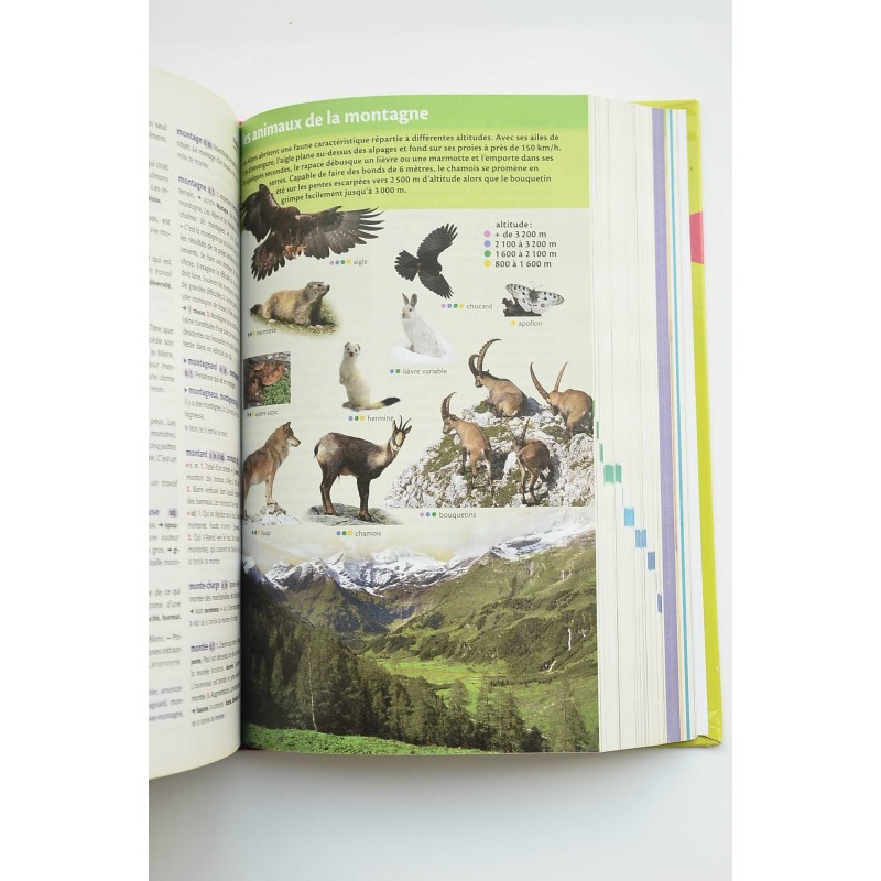 Le Robert Junior Illustré