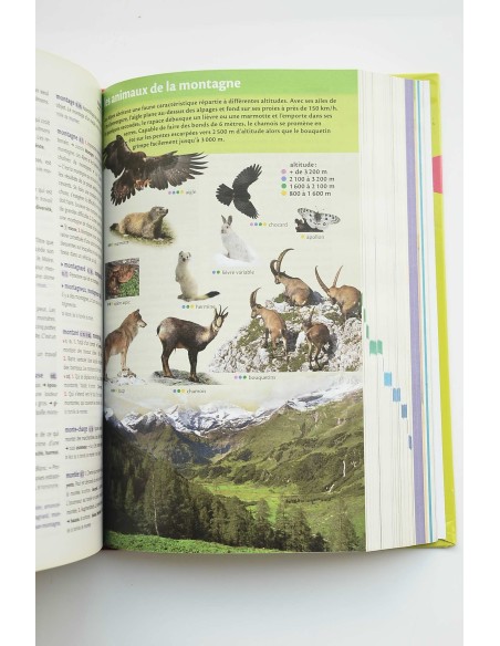 Le Robert Junior Illustré