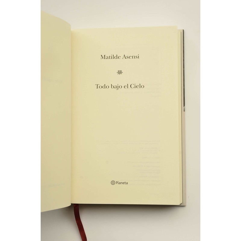 Todo bajo el cielo