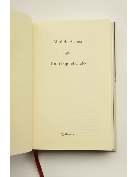 Todo bajo el cielo