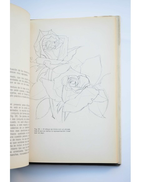 Pintando y dibujando flores