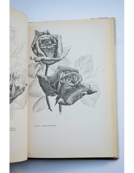 Pintando y dibujando flores