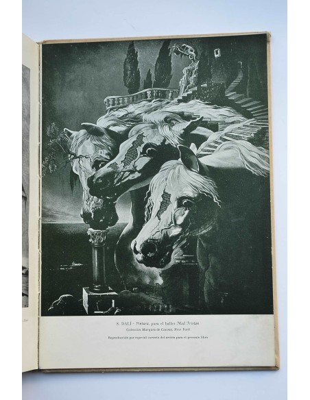 Mentira y verdad de Salvador Dalí