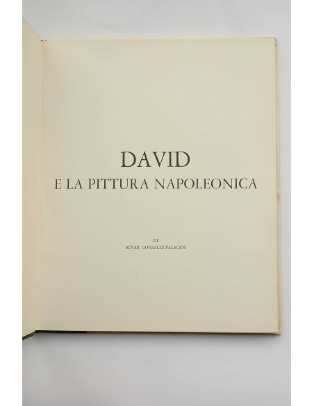David e la pittura napoleonica