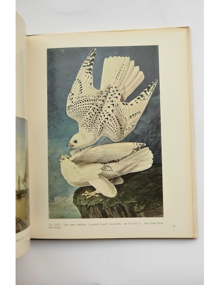 Pittura americana dell'ottocento