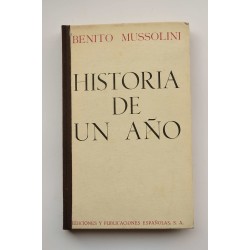 Historia de un año