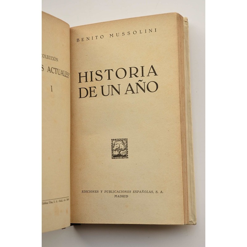 Historia de un año