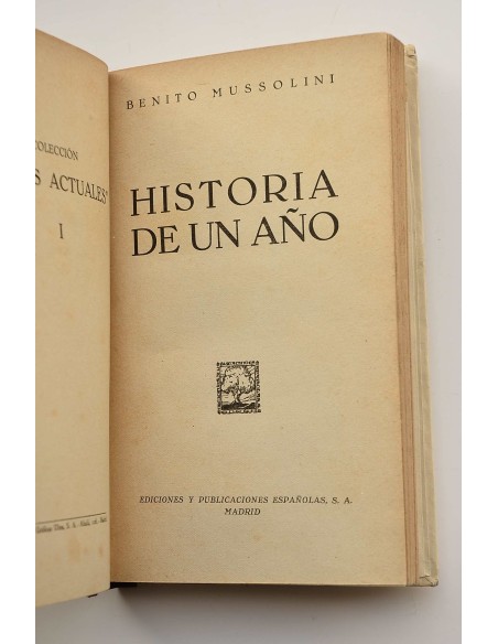 Historia de un año