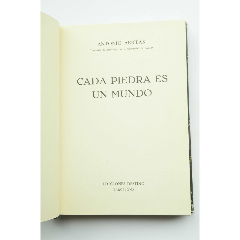 Cada piedra es un mundo
