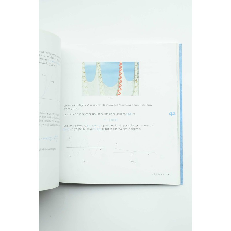 Ritmos. Matemáticas e imágenes