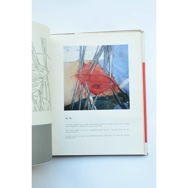Esófago - Ileo - Colon - Plastica : manuale di...