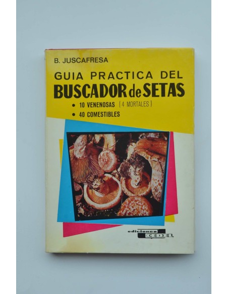 Guía práctica del buscador de setas