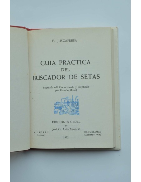 Guía práctica del buscador de setas