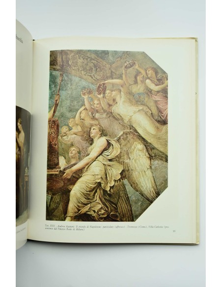 La pittura di storia dell'ottocento italiano