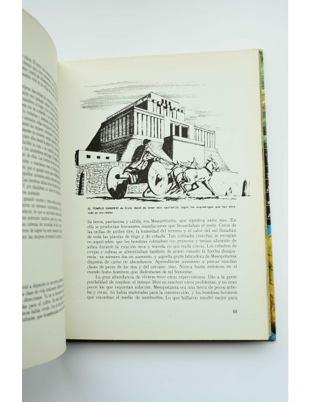 Historia del lenguaje