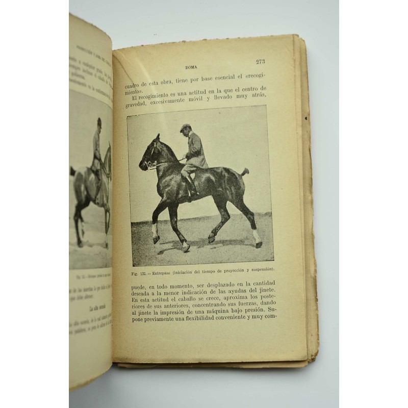 Producción y doma del caballo