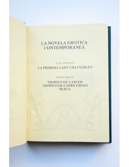 La Novela Erótica Contemporánea