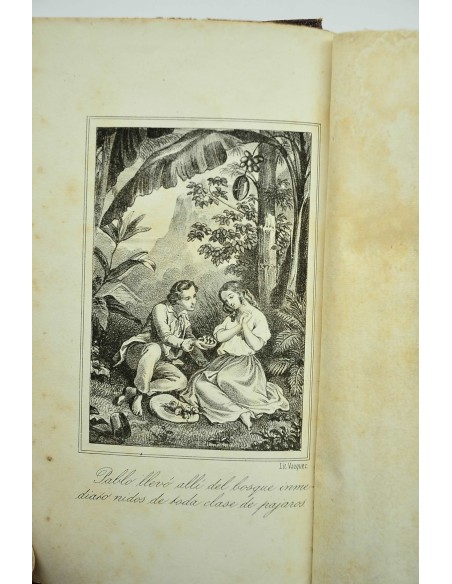 Pablo y Virginia
