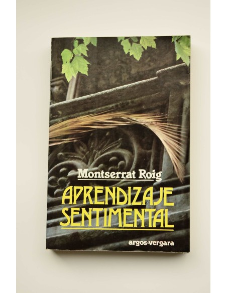 Aprendizaje sentimental