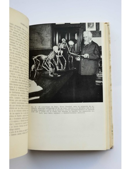 Tras las huellas de Adán : la novela de una nueva ciencia