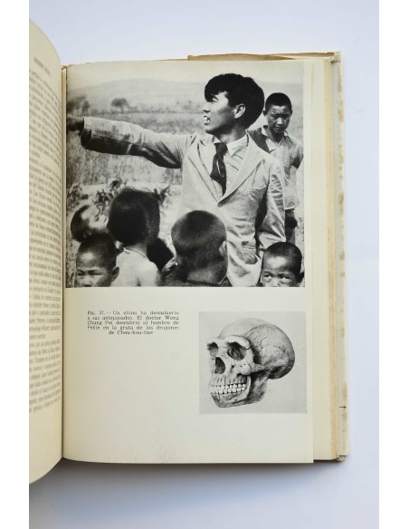 Tras las huellas de Adán : la novela de una nueva ciencia