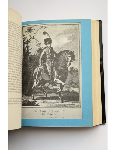 Murcia, Bus-Stop. Flor de lazarillos murcianos