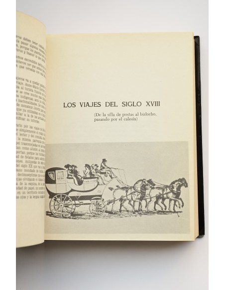 Murcia, Bus-Stop. Flor de lazarillos murcianos