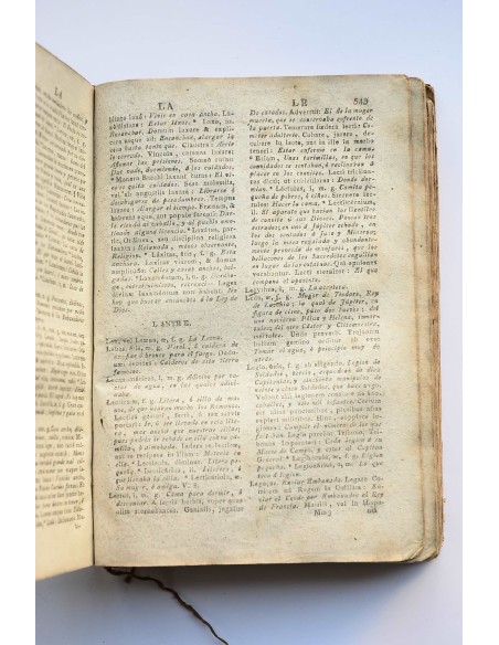 Compendium latino-hispanum utriusque lingue veluti lumen Petri de Salas accedunt verba sacra ex adversariis Joannis Ludovici...