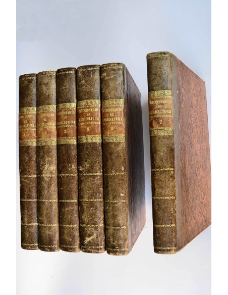 Diccionario de agricultura práctica y economía rural