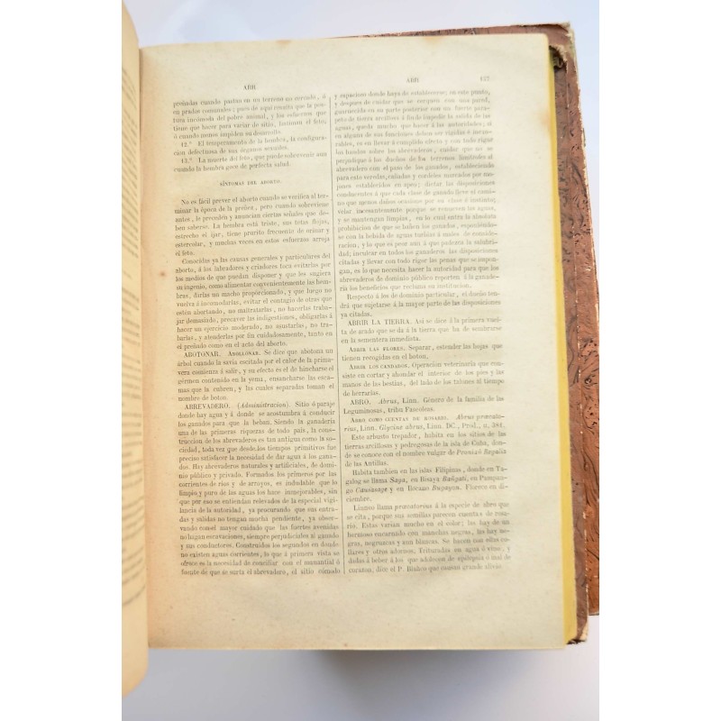 Diccionario de agricultura práctica y economía...