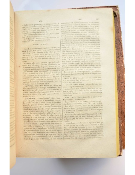 Diccionario de agricultura práctica y economía rural