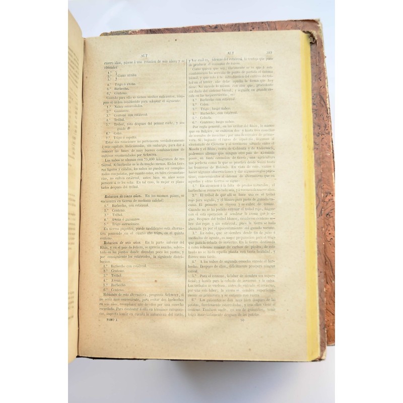 Diccionario de agricultura práctica y economía...