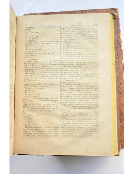 Diccionario de agricultura práctica y economía rural