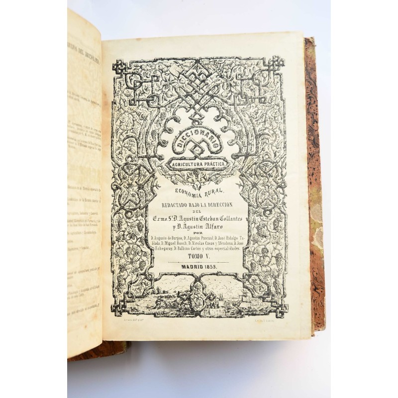 Diccionario de agricultura práctica y economía...