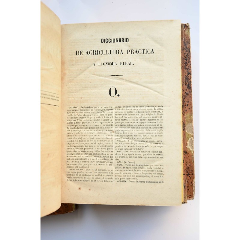 Diccionario de agricultura práctica y economía...