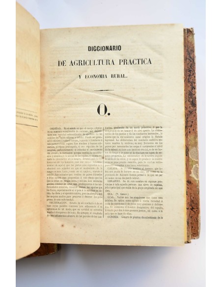 Diccionario de agricultura práctica y economía rural