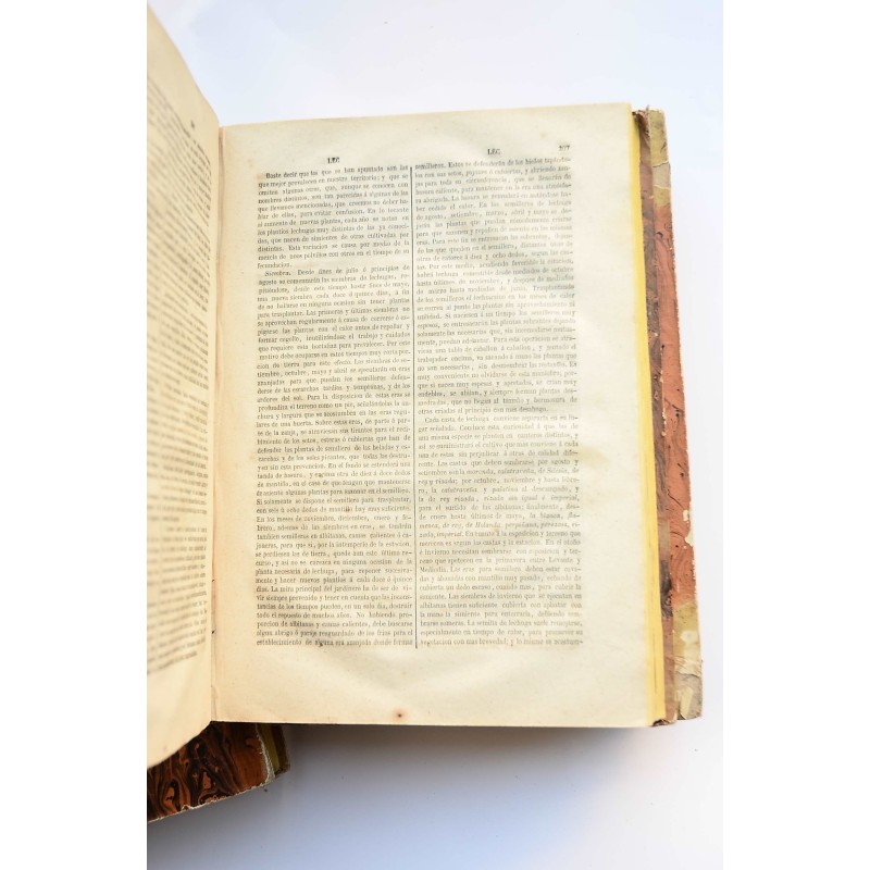 Diccionario de agricultura práctica y economía...