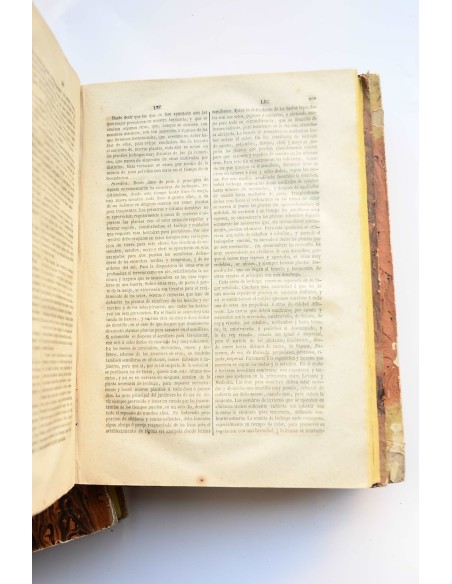 Diccionario de agricultura práctica y economía rural