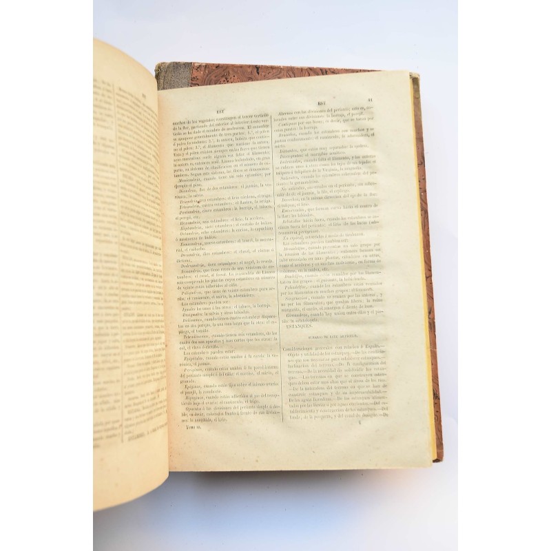 Diccionario de agricultura práctica y economía...